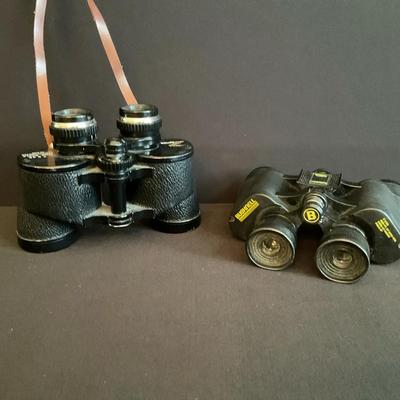 Binocular Duo
