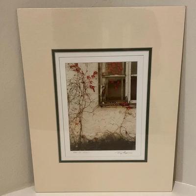 Red Ivy Window Print