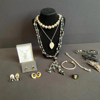 Black And Silver Costume Delights