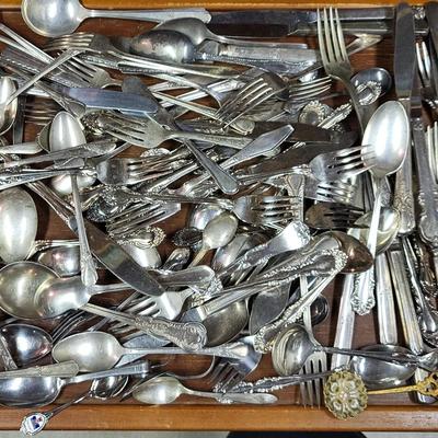 Stainless Steel Flatware (B)
