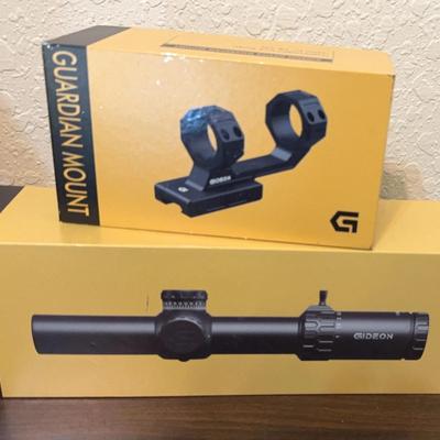 Guardian gun scope & mount 
