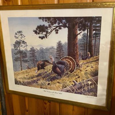 “Wild Turkey In The Black Hills” By Les C. Kouba Signed 