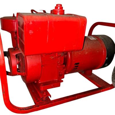 Portable Gas Generator 