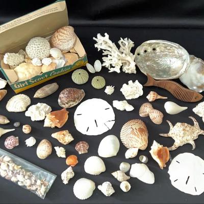 Shells