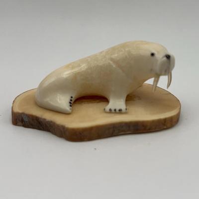 Walrus Ivory Walrus With Baleen