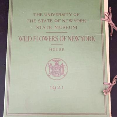 Antique NY State Museum Portfolio of Wildflowers of New York