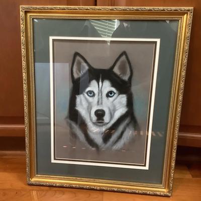 Husky Dog Portrait 