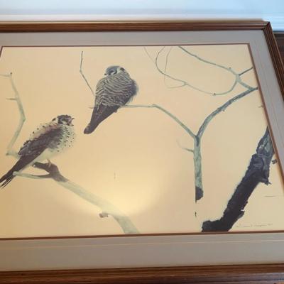 Thomas D Mangelsen Framed Photograph
