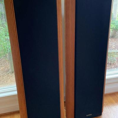 Pair Of Tall Infinity Speakers