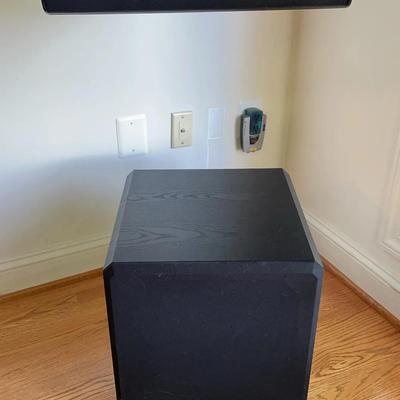 Infinity Speaker & Velodyne Subwoofer