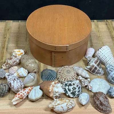 Shaker box with shells