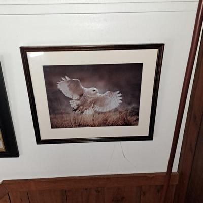 Sale Photo Thumbnail #317