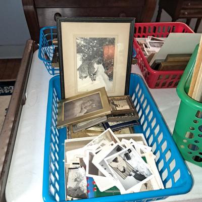 Sale Photo Thumbnail #266