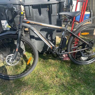 Ecotric Vortex Electric Bike