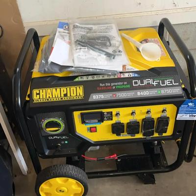 Champion Dual Fuel Generator