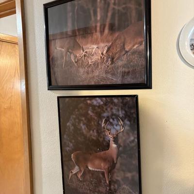 Sale Photo Thumbnail #56