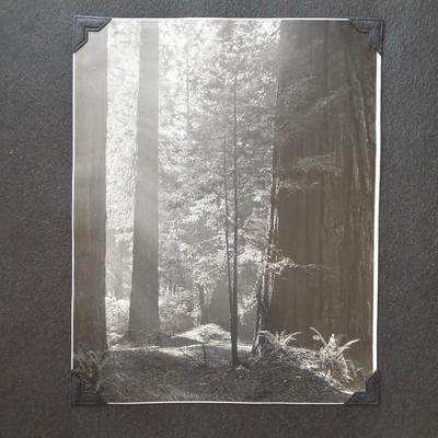 Sale Photo Thumbnail #17