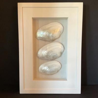 Framed Pearl River Oysters