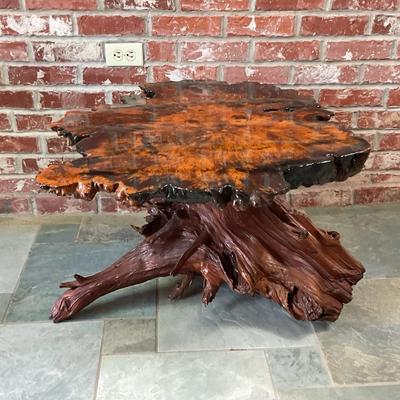 Driftwood Tree Stump Slab Top Shellac Coffee Table