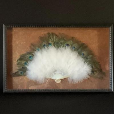 Framed Vintage Peacock Feather Fan