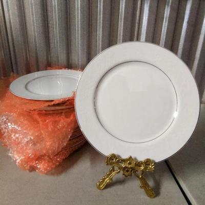 Translucent Fine China (16) Dinner Plates