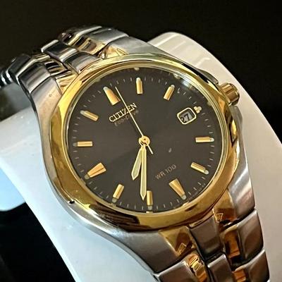 Citizen Eco-Drive WR 100 Japanese Movement Stainless Steel Watch