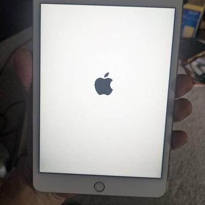 WST053 Apple "IPAD" and Accessories. See Pictures!