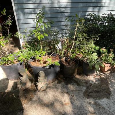 Sale Photo Thumbnail #339