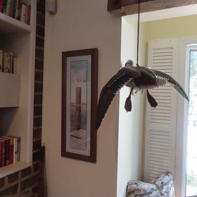 Sale Photo Thumbnail #152