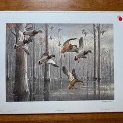 Sale Photo Thumbnail #19