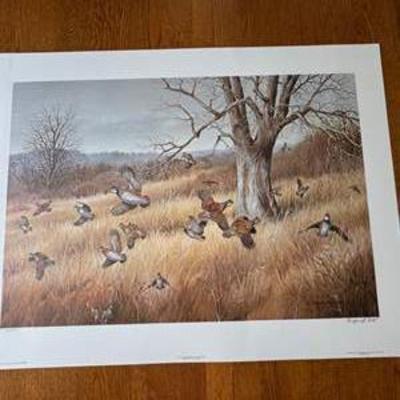 Sale Photo Thumbnail #9