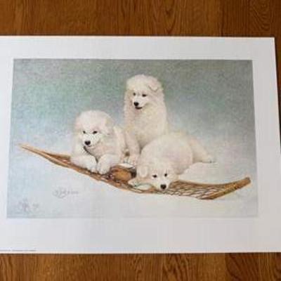 Sale Photo Thumbnail #28