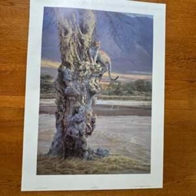 Sale Photo Thumbnail #20