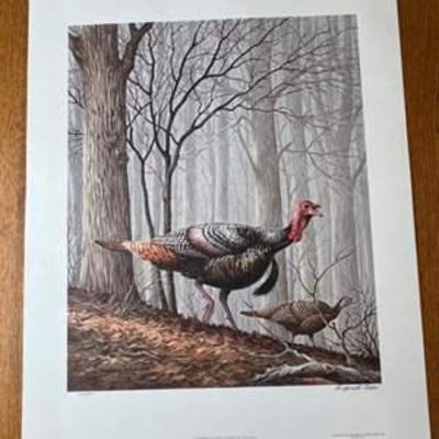 Sale Photo Thumbnail #15