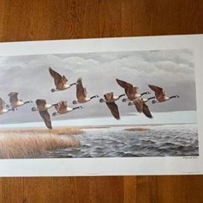 Sale Photo Thumbnail #17