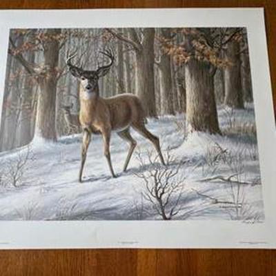 Sale Photo Thumbnail #10