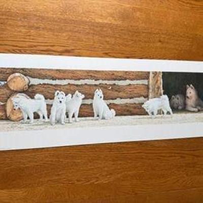 Sale Photo Thumbnail #23