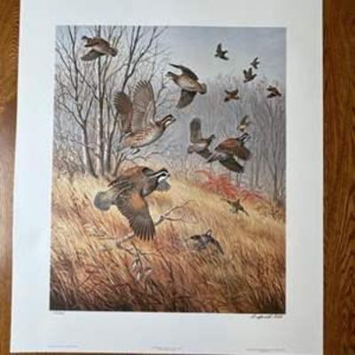 Sale Photo Thumbnail #13