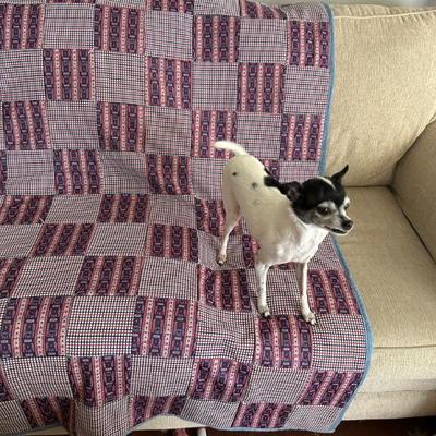 Nina loves a cozy blanket too! 