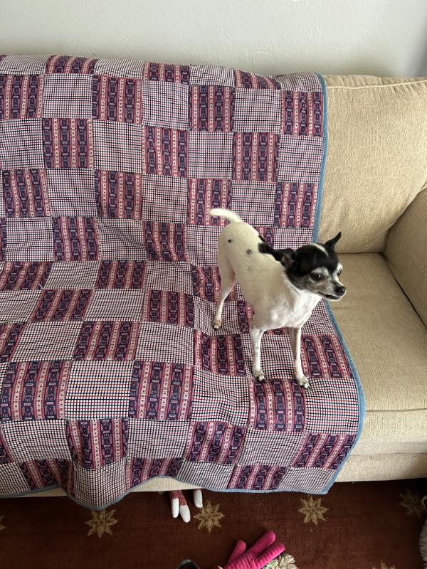 Sale Photo Thumbnail #5