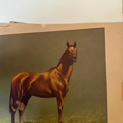 Sale Photo Thumbnail #11