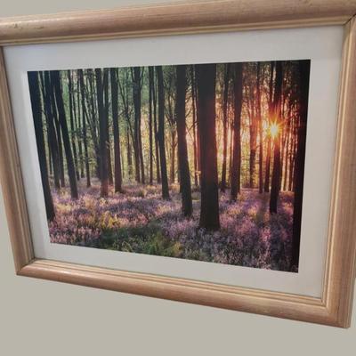 Sale Photo Thumbnail #272