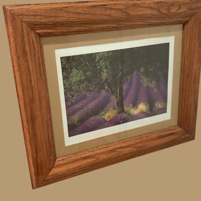 Sale Photo Thumbnail #385