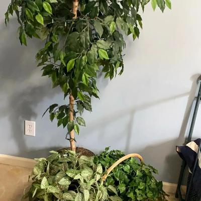 Faux Lighted Tree with Two Small Faux Plants