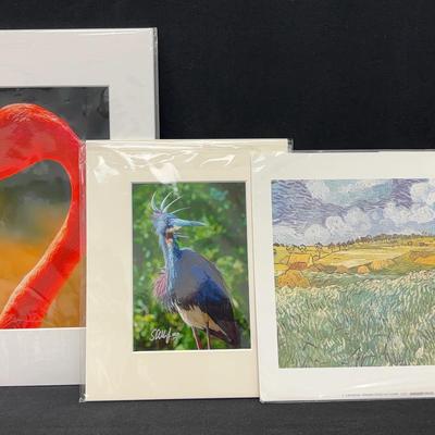 Matted Prints - Nature