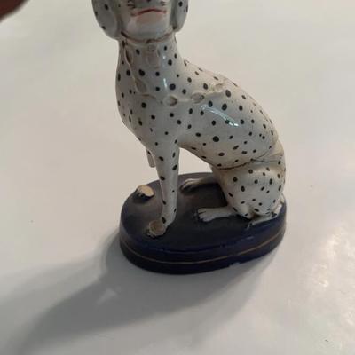 Dalmatian 