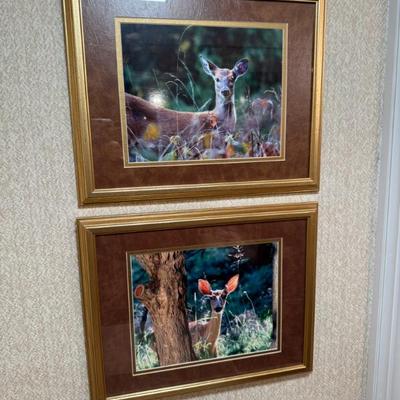 Sale Photo Thumbnail #52