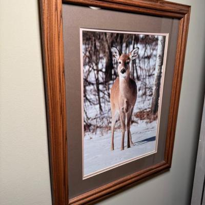 Sale Photo Thumbnail #41