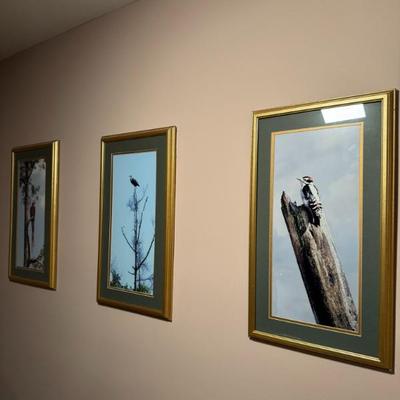 Sale Photo Thumbnail #77