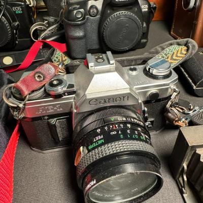 Sale Photo Thumbnail #309